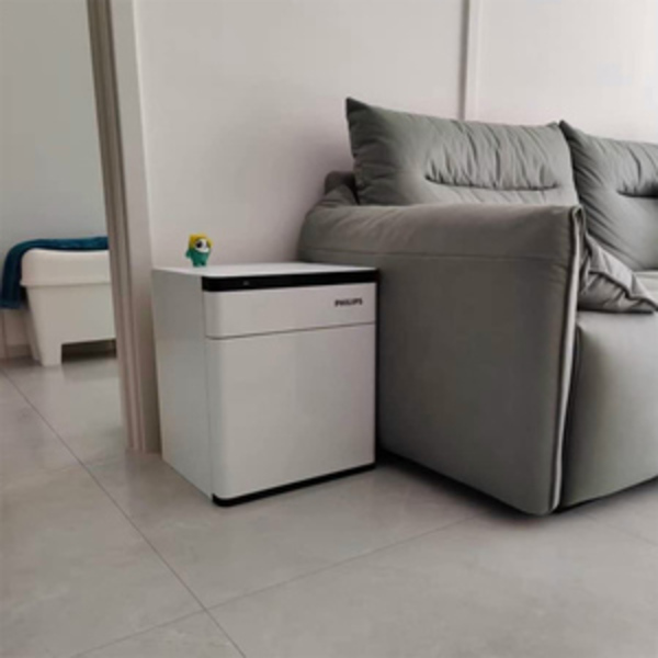 Két sắt Philips SBX301 vân tay chính hãng